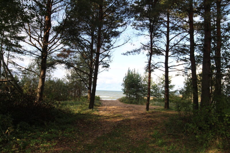 Müüa suvila, 1 magamistuba - Mõru vkt 14, Moldova, Lüganuse vald, Ida-Virumaa - Image 13