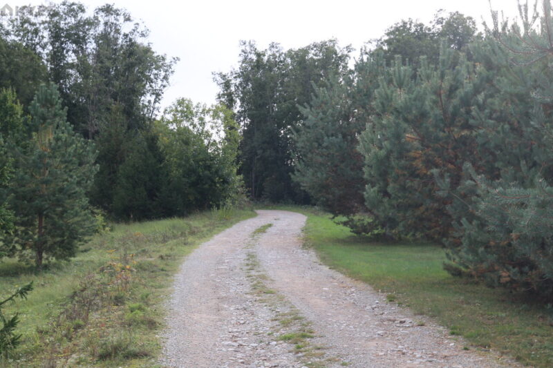 Müüa suvila, 1 magamistuba - Mõru vkt 14, Moldova, Lüganuse vald, Ida-Virumaa - Image 17