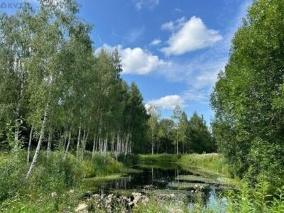 Müüa maja, 4 magamistuba - Lümatu, Antsla vald, Võrumaa